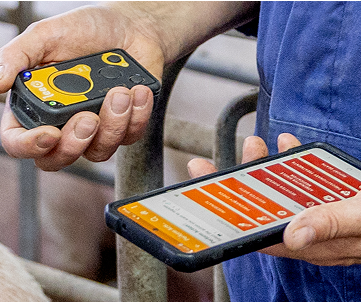 Man hands holding a smartphone and a LeeO device