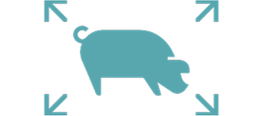 Pig with arrows pointing out of it