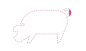 Pig dotted contour with half tale highlighted